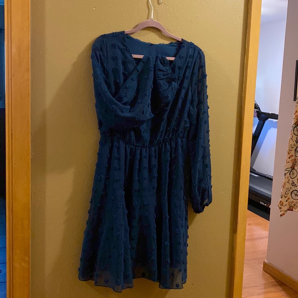 Spring dress. Purchased from an online boutique, but never worn.